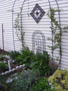 Coven's Herb Garden
