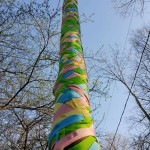 maypole 2018